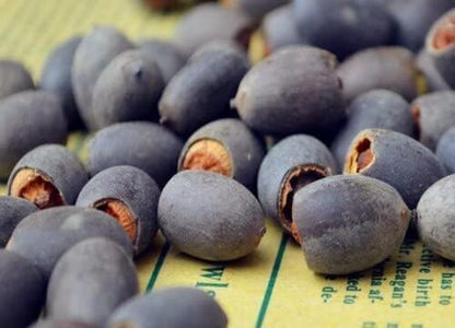 Bonsai Lotus Flower Seeds