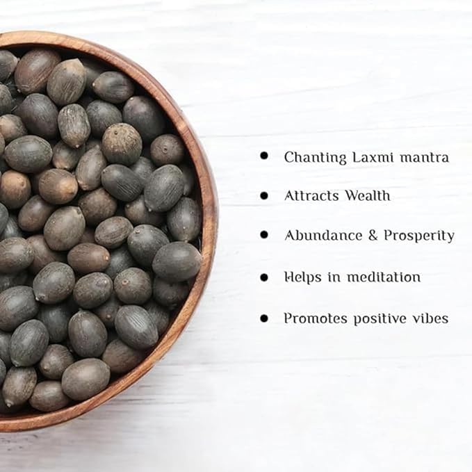 Bonsai Lotus Flower Seeds